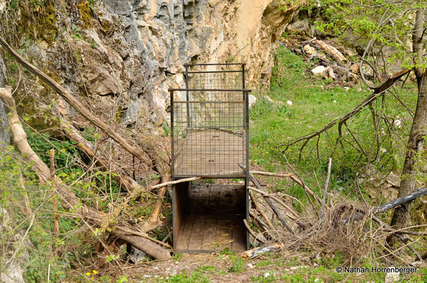 "Box-trap"