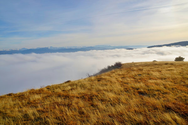 Montagne de Lure
