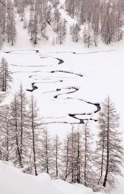 Méandres en hiver, Mercantour