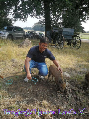 Frederik (oder Fridolin?) hat mitgeholfen ein paar hartnäckige Kräuter zu entfernen.