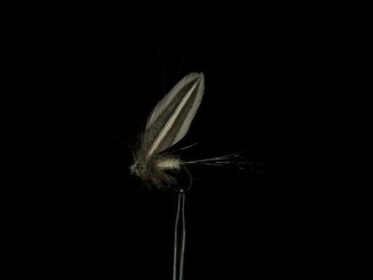 Fliege 22
