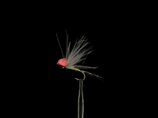 Fliege 2