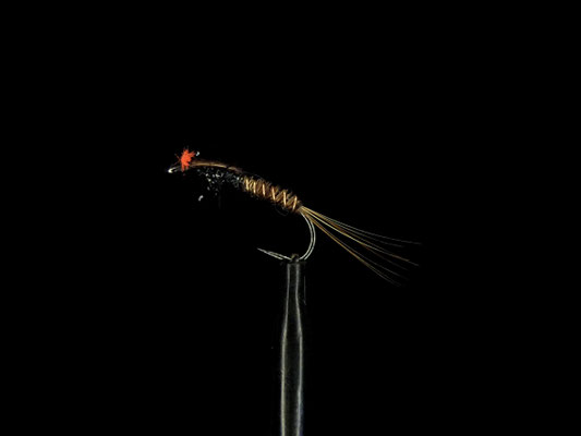 Fliege 5
