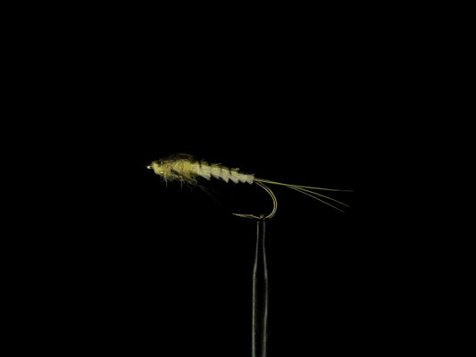 Fliege 13
