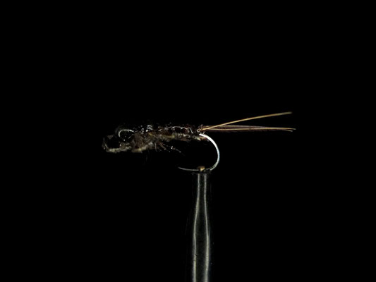Fliege 8