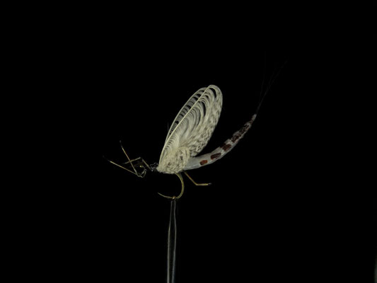 Fliege 18