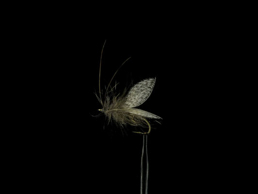 Fliege 14