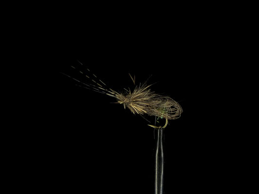 Fliege 11