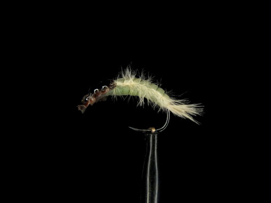 Fliege 7