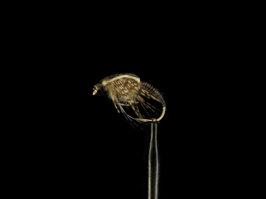 Fliege 10