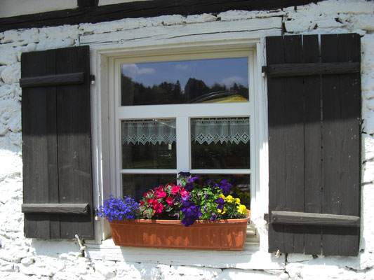 Blumenkasten am Backhaus