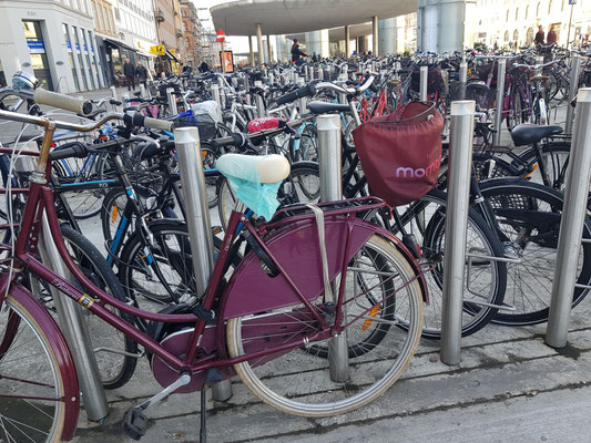 Bikes Copenhagen