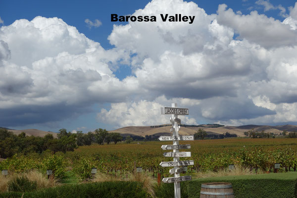 Barossa Valley Australia