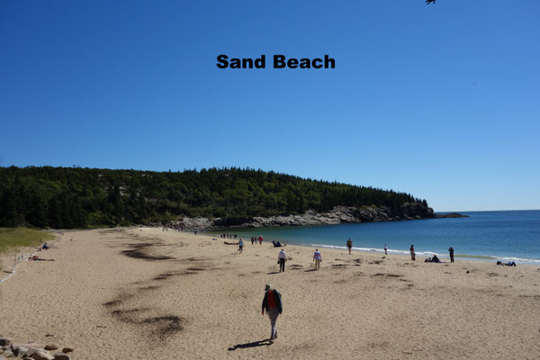 Sand Beach Acadia National Park