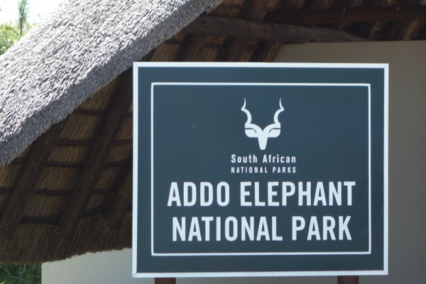 Addo Elephant National Park South Africa