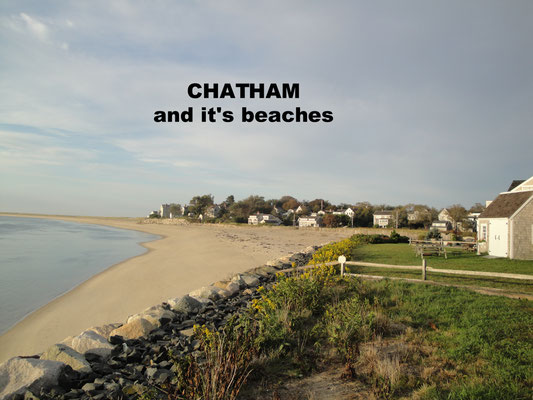 Chathams Beach