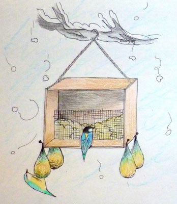 Plans for a feeding construction for birds in winter