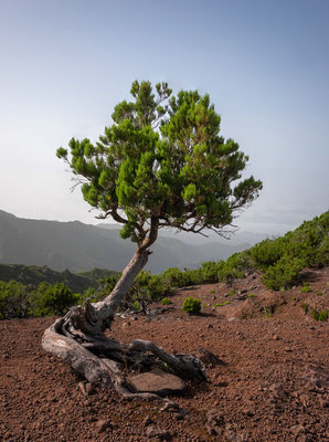 Pico Ruivo, Madeira