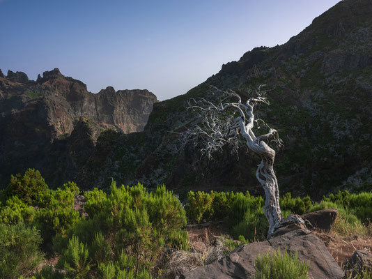 Pico Ruivo, Madeira