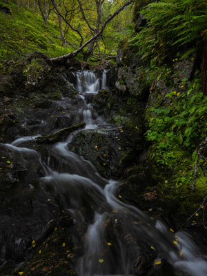 Kvaloya, Norwegen