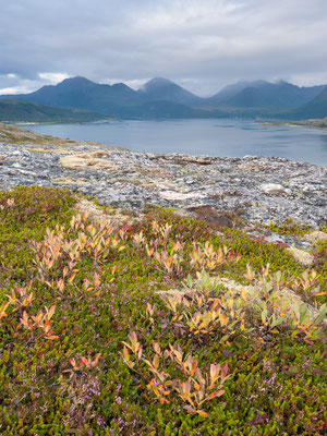 Sommaroya, Norwegen