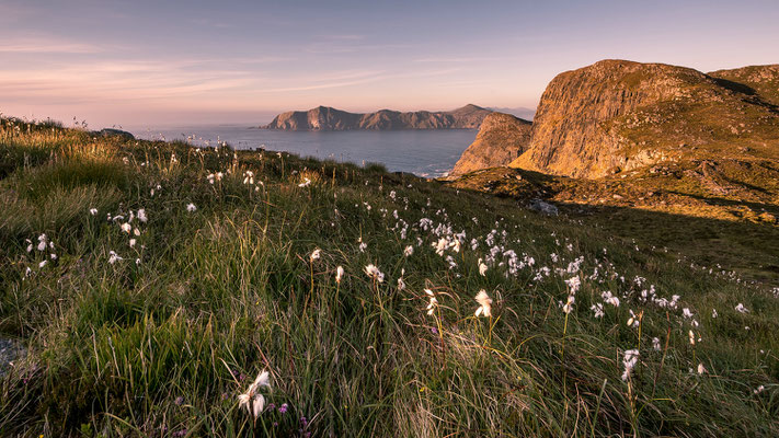 Insel Runde, Norwegen