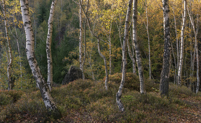 Erzgebirge