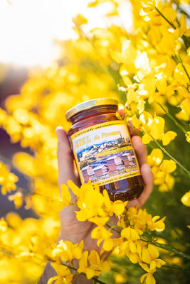 Miel toutes fleurs de Provence