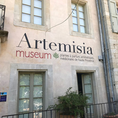 Création du nom et du logotype d'Artemisia museum à Forcalquier