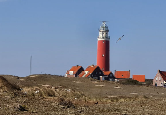 Leuchtturm auf Texel