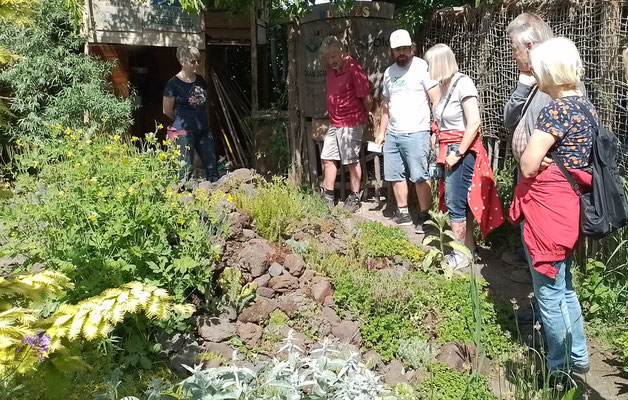 Eifel-Steingarten (erste Gruppe)