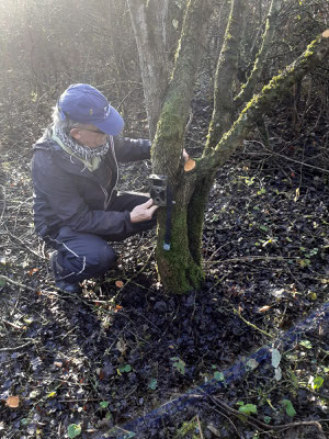 Wildtierkameras im Einsatz (Auswertungen siehe unten)