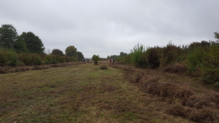 Der "Alte Golfplatz"  im Oktober 2016 (Foto: P. Britz)