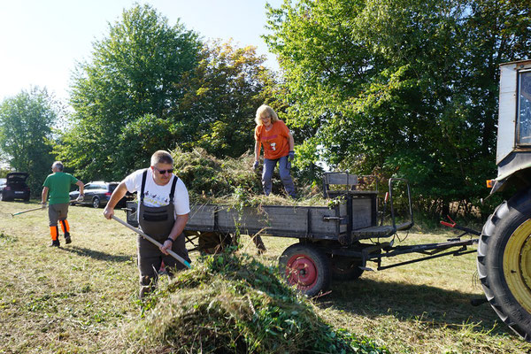 ...und drauf! (Foto: A. Wattenbach)