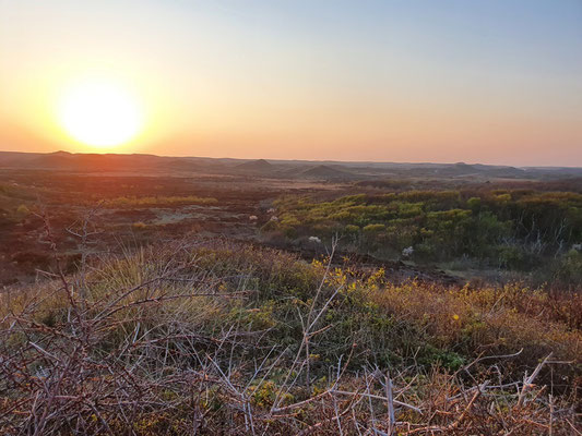 Sundown hinter den Dünen von Texel