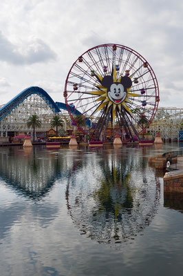 California Screemin' & Mickey's Fun Wheel