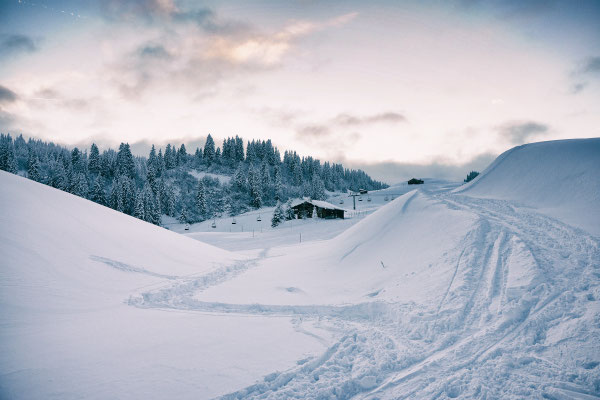 Abendstimmung auf Grüsch-Danusa.