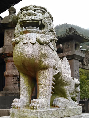 陶山神社狛犬07番阿形の写真