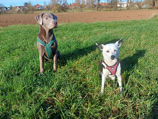 Malu + Pina
