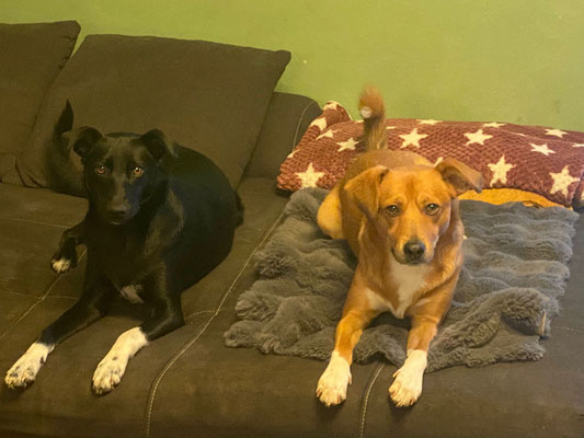Benji + Delia