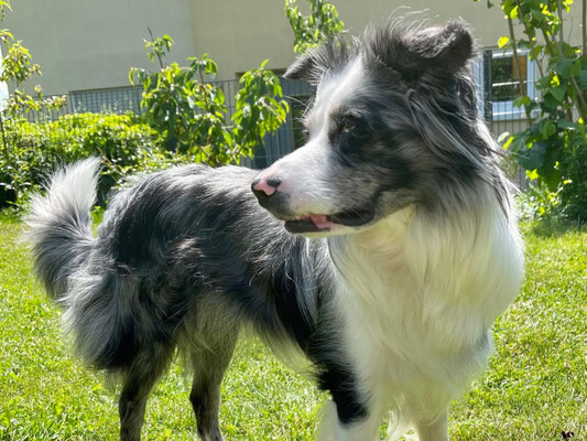 Zoe