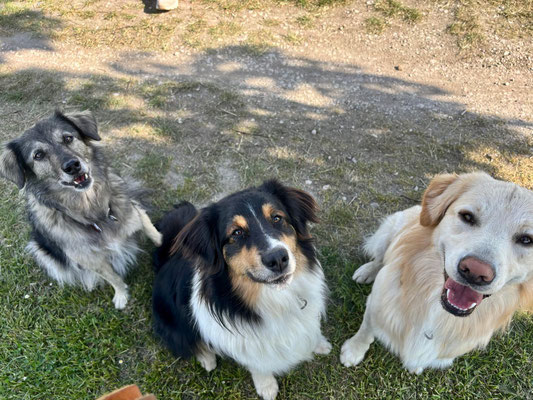 Frida + Pino + Enzo