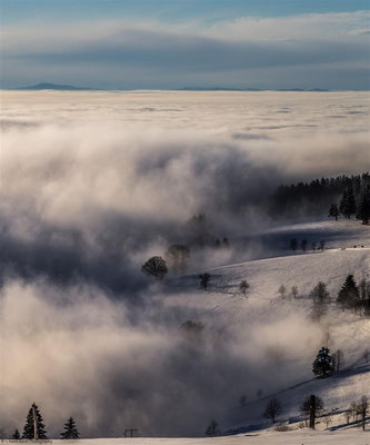Inversion -- Freiburg im Breisgau / Germany -- January 2015