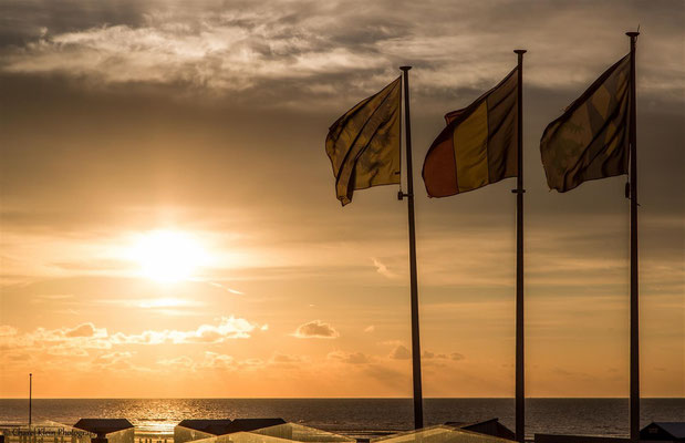 Roadtrip 2014  -- De Panne