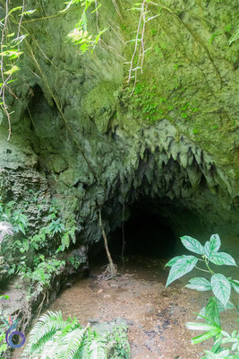 La Grotta