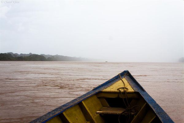 rainwall on the Madre de Dios -- Peru / Centro De Rescate Taricaya