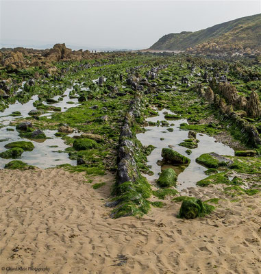 Roadtrip 2014  -- Cap Gris Nez