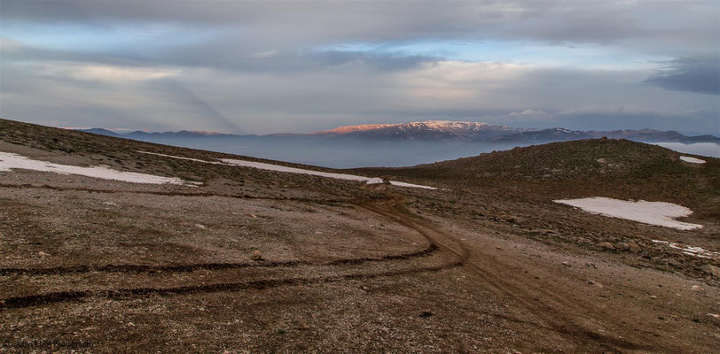Birdingtrip Turkey 2015