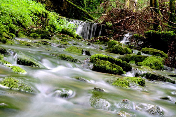 Stone river bed -- Palzem / Germany