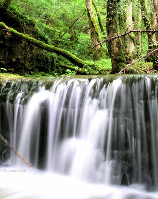 Stone river bed -- Palzem / Germany